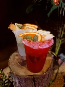 MOJITOS SALVAJES