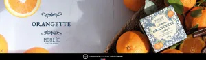 Slide Background