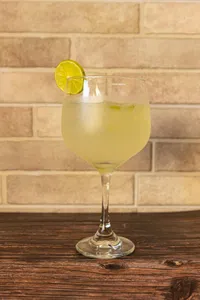 Gin Tonic