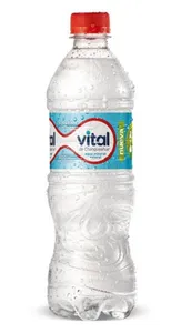 Vital Sin Gas