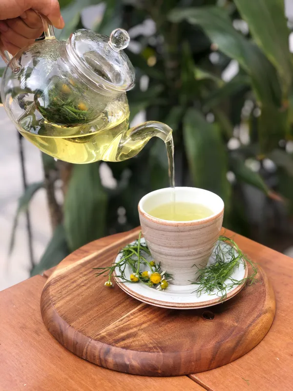 Infusión clásicas | 8 Oz