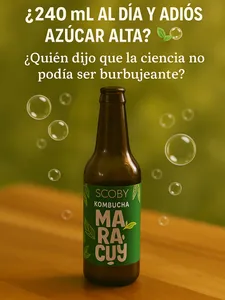 Kombucha Maracuya