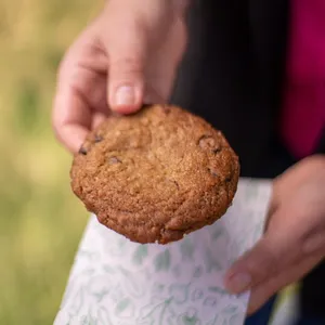 Galleton Con Chips De Chocolate