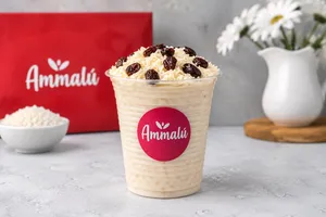 Arroz con Leche Montescal 14 oz