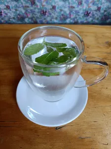 Infusion variedad
