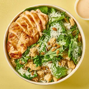 Ensalada César Miso con Pollo