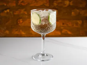 Saint Germain Spritz
