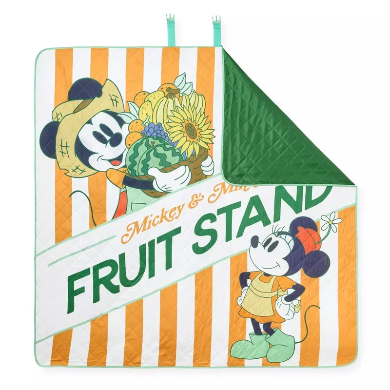 PICNIC MAT MICKEY