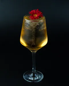 St.Germain Spritz