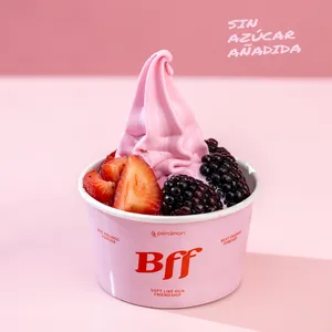 Helado Frutos Rojos Yogurt Mini SA