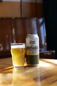 Lata american pale lager