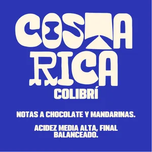 Costa Rica | Colibrí, Terrazú