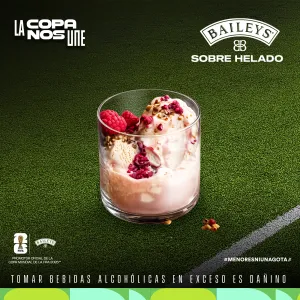 Licor de crema Baileys Botella 750ml