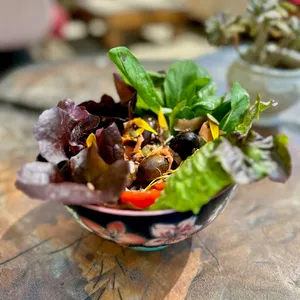 Ensalada de verduras orgánicas