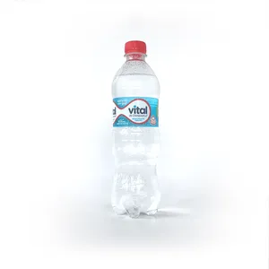 Agua Mineral  "Sin gas" Vital 600 ml