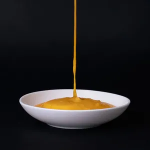 Salsa Bisque