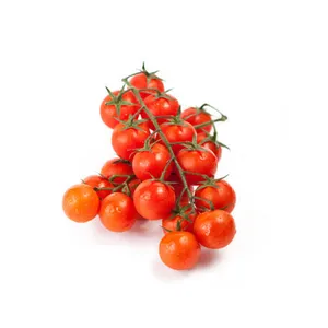 CAJA TOMATE CHERRY (10 KG)