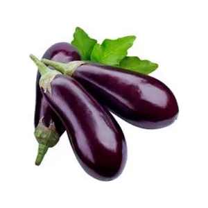 Berenjena (1 Un)