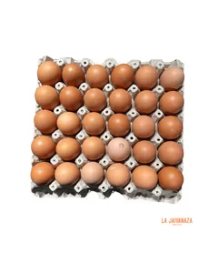 Huevos de gallina libre (30 unidades)