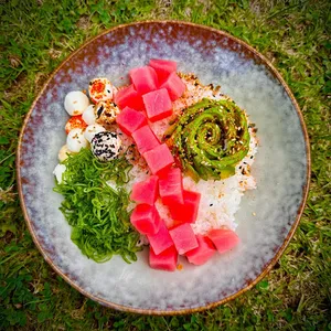 Gohan atún