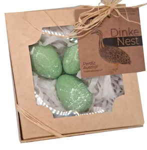 Perdiz Austral DinkeNEST