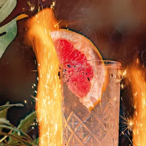 Paloma