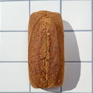 Molde Integral Multisemillas