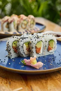 48 makis