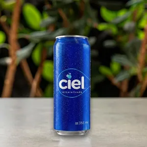 Agua Mineral Ciel 355ml