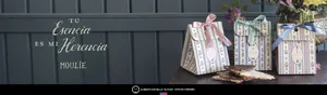 Slide Background