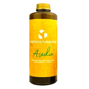 Asedio 1 lt