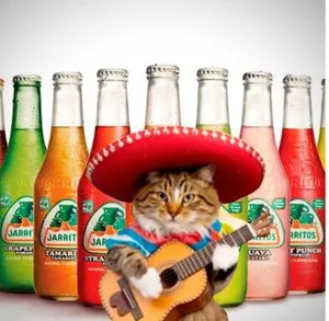 Refresco Aguas Frescas Jarritos!