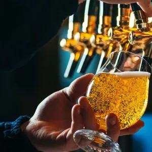 Stella Artois Draft