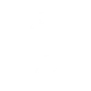 Logo de Fidelio