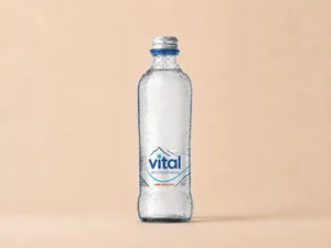 Agua con gas 330 cc