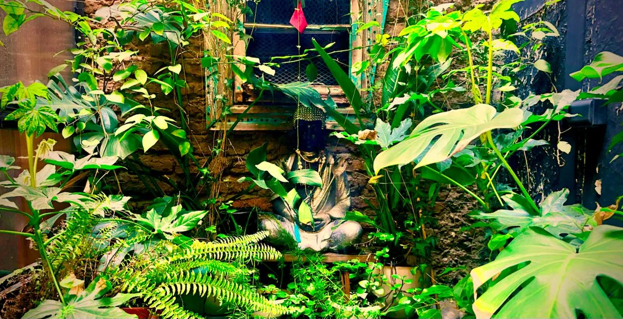 Fachada del restaurante Kanda Thai