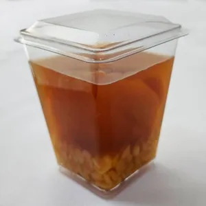 Mote con huesillo descarozado
