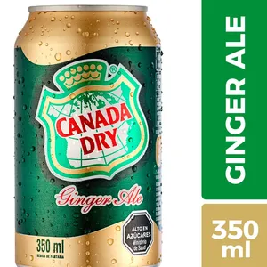 Lata canada dry 350mL