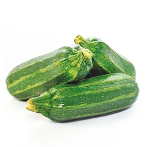 Zapallo italiano