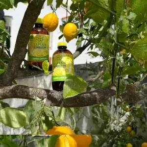 GUTSY CAPTAIN KAMBUCHA LIMONADA 400 ML