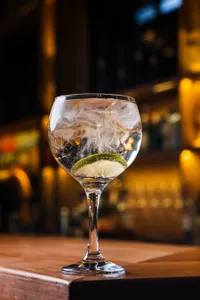 St-Germain Spritz