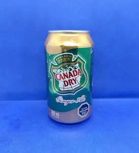 Bebidas Lata Canada Dry