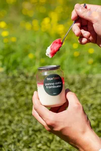 Panna Cotta de Frambuesa