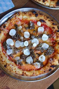 Pizza Funghi