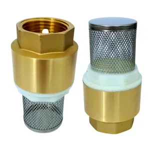Pack Válvula De Retención O Check Bronce 1''c/filtroinox - 10 Unidades
