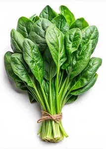 Espinaca
