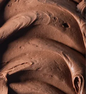 Helado Chocolate sin Azúcar