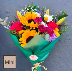 Ramo Mini