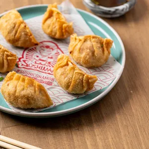 Gyozas de pollo