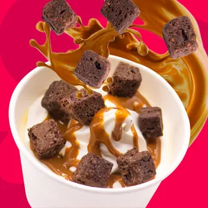 Feelgood Ice Cream Brownie Manjar